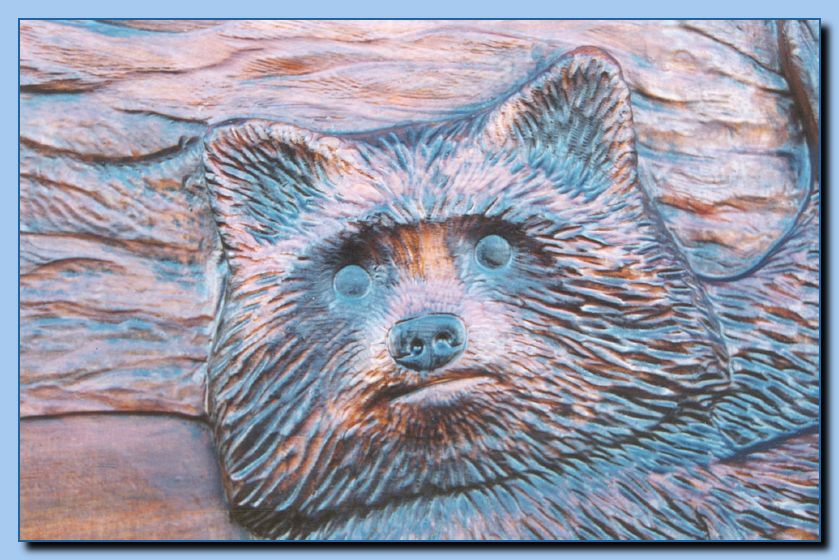 2-11 raccoon in carved door-archive-0002